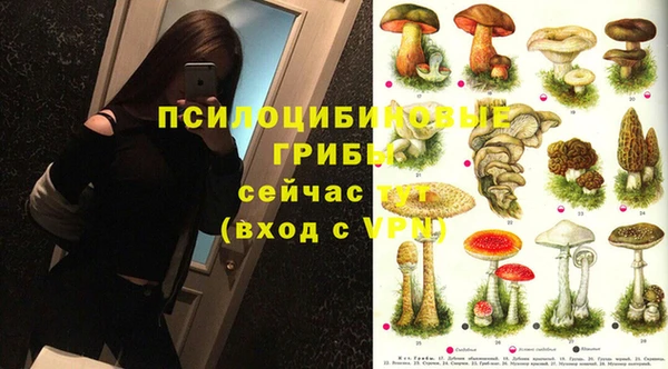 мескалин Нефтекумск