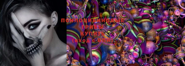 ПСИЛОЦИБИНОВЫЕ ГРИБЫ Нефтегорск