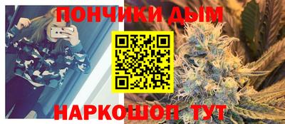 шишки Кимры