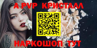 амф Кингисепп
