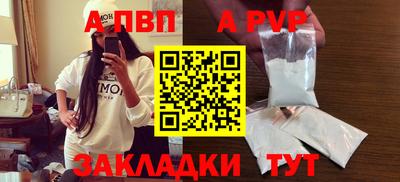 амф Кингисепп