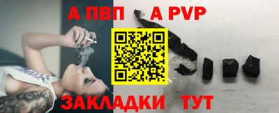 амф Кингисепп
