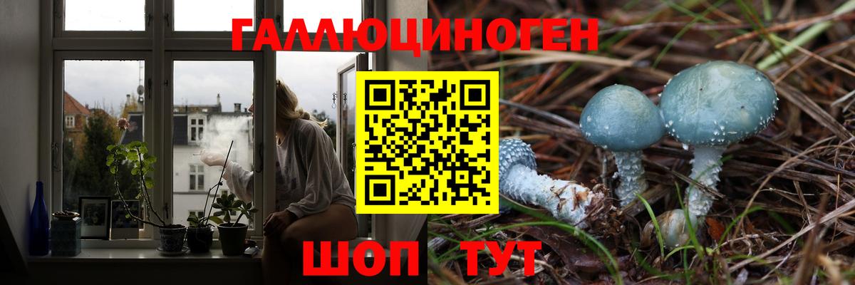 Сальск  Псилоцибиновые грибы Psilocybe  Вход с VPN 