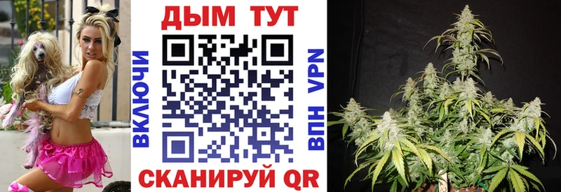 Шишки марихуана LSD WEED  Сальск 
