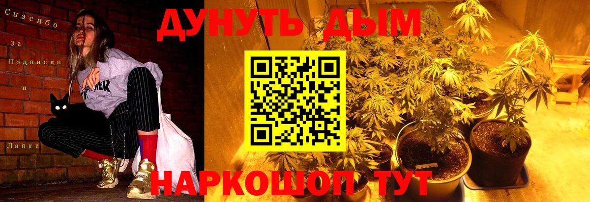 Бошки марихуана Amnesia  Каннабис планчик  Вход с VPN  Сальск 